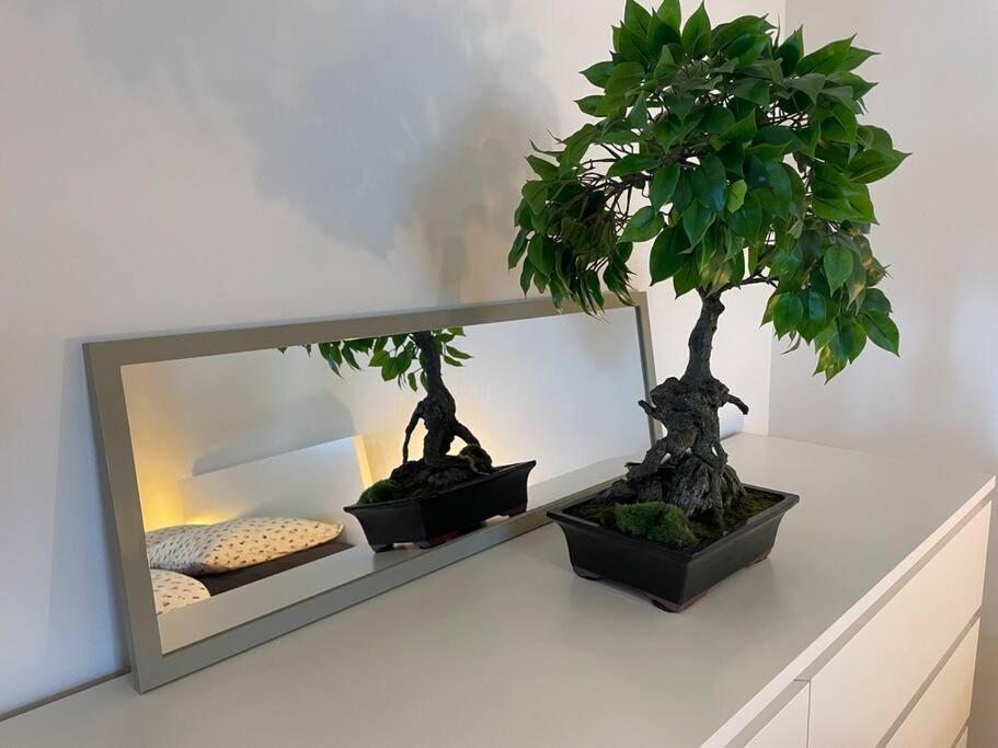 Magnifique Appartement A La Frontiere Suisse Saint-Louis  Esterno foto